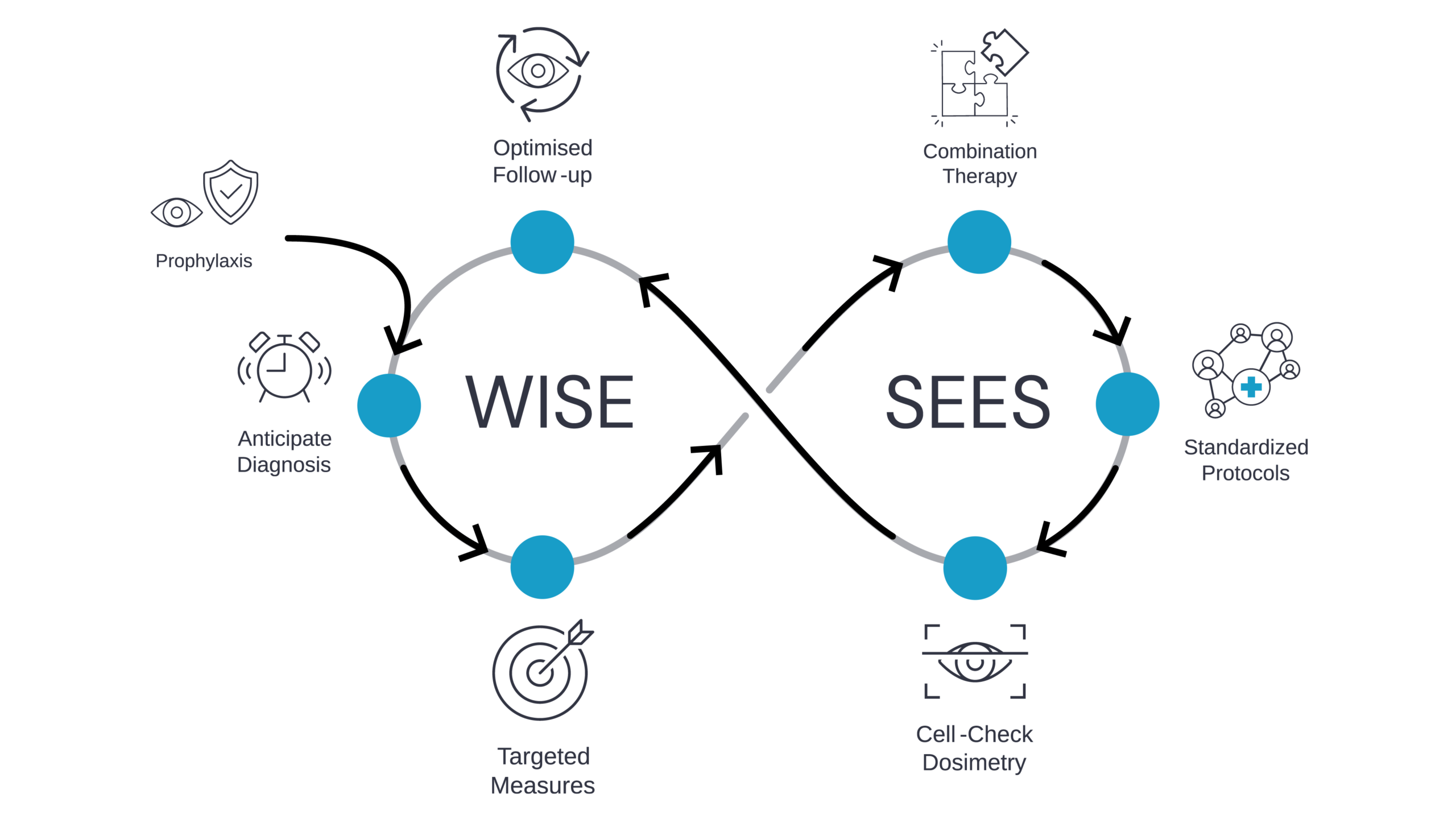 Oculox platform: retinaWISE and retinaSEES integrated into one continuous workflow